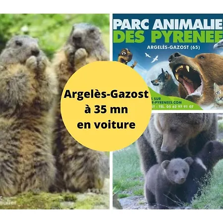 Lejlighed Le Red Gambetta